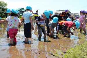 s-IMG_8265