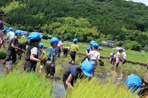 s-IMG_8288