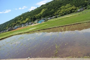 s-IMG_8321