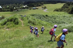 s-IMG_8302